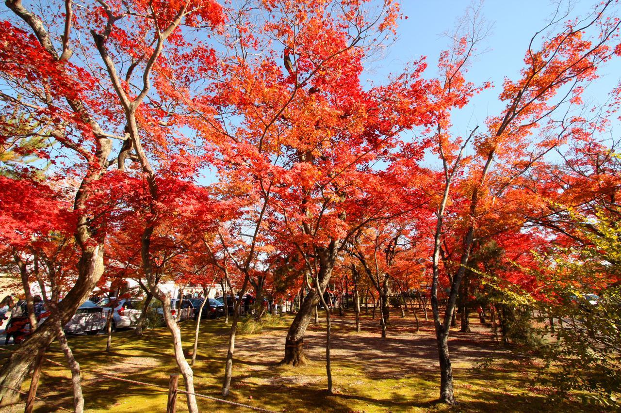 一棟貸切り宿 Guesthouse 嵯峨嵐山 Kyoto Bagian luar foto